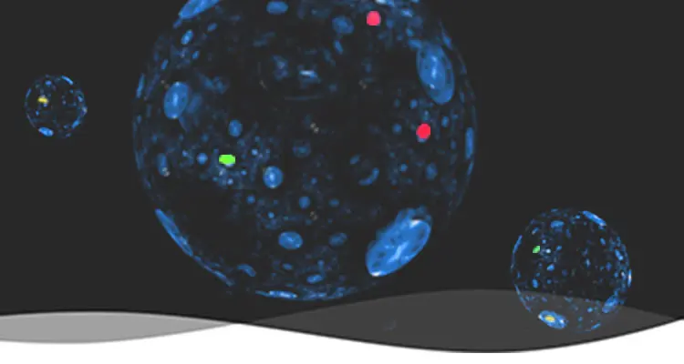 Fluorophores