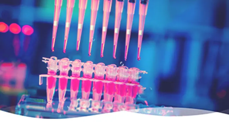 Assays
