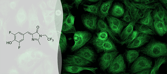 DFHBI-1T Fluorophore | 1-10mg | Lucerna Technologies