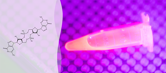 Cyclic di-GMP Assay